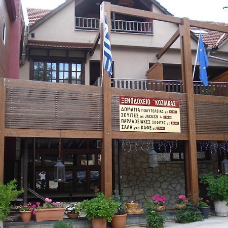 Ξενοδοχείο Κόζιακας Ελάτη Εξωτερικό φωτογραφία