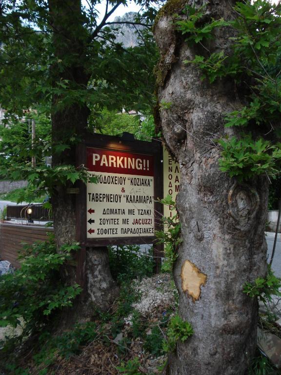 Ξενοδοχείο Κόζιακας Ελάτη Εξωτερικό φωτογραφία
